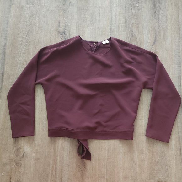 Aritzia Laon blouse, open back with tie detail - Picture 7 of 11